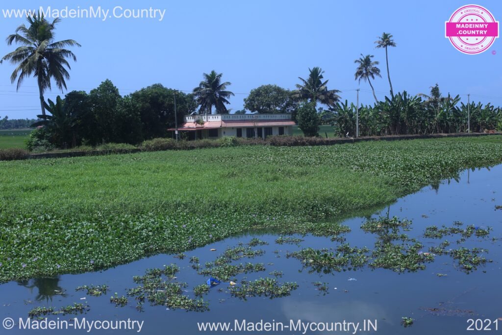MadeinMycountry MadeinMycountryIndia India Kerala