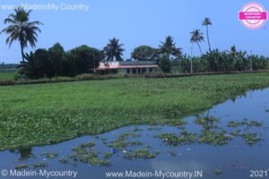 MadeinMycountry MadeinMycountryIndia India Kerala